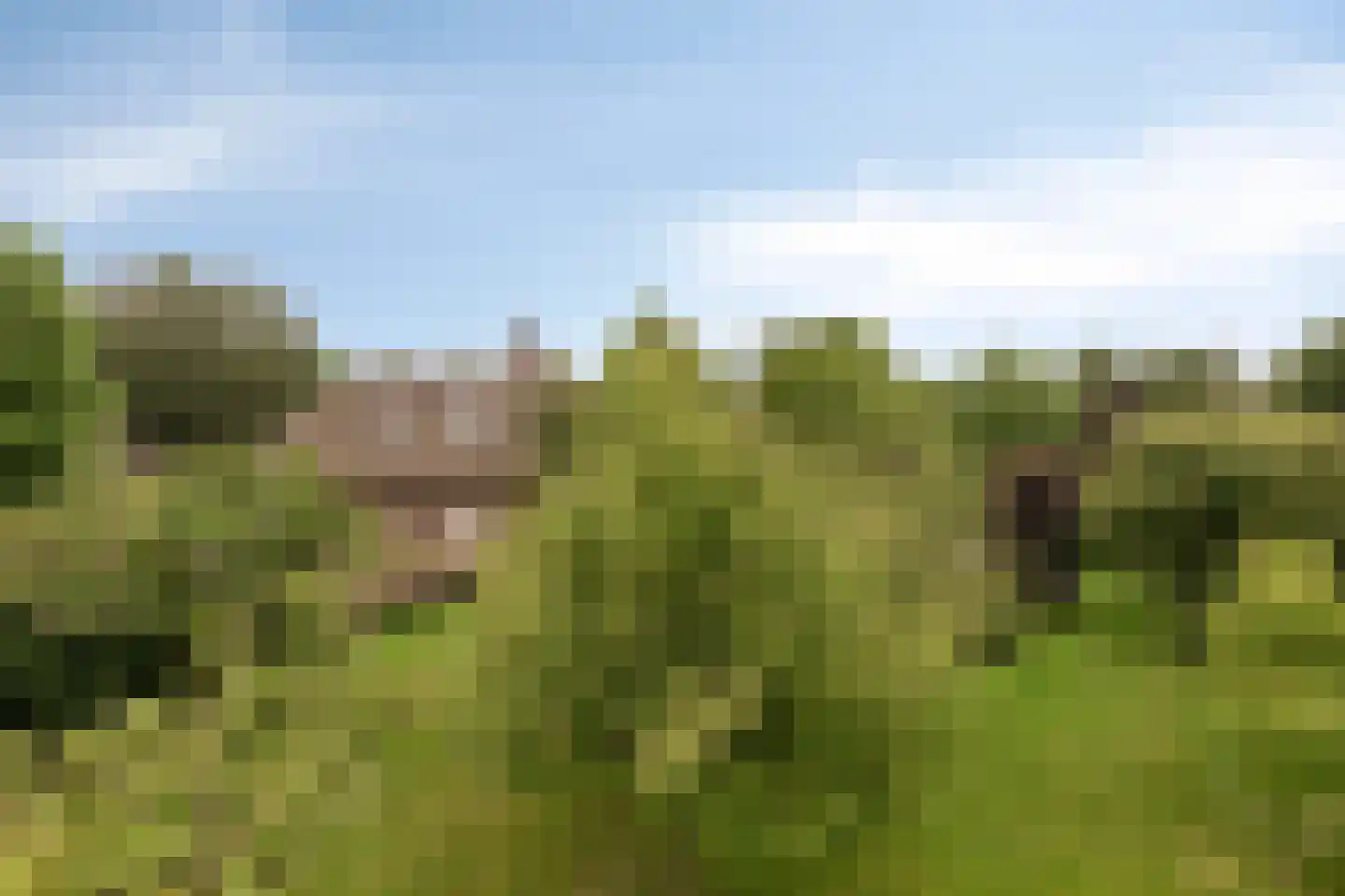 Van Dedemlaan 19 Barneveld thumbnail 58