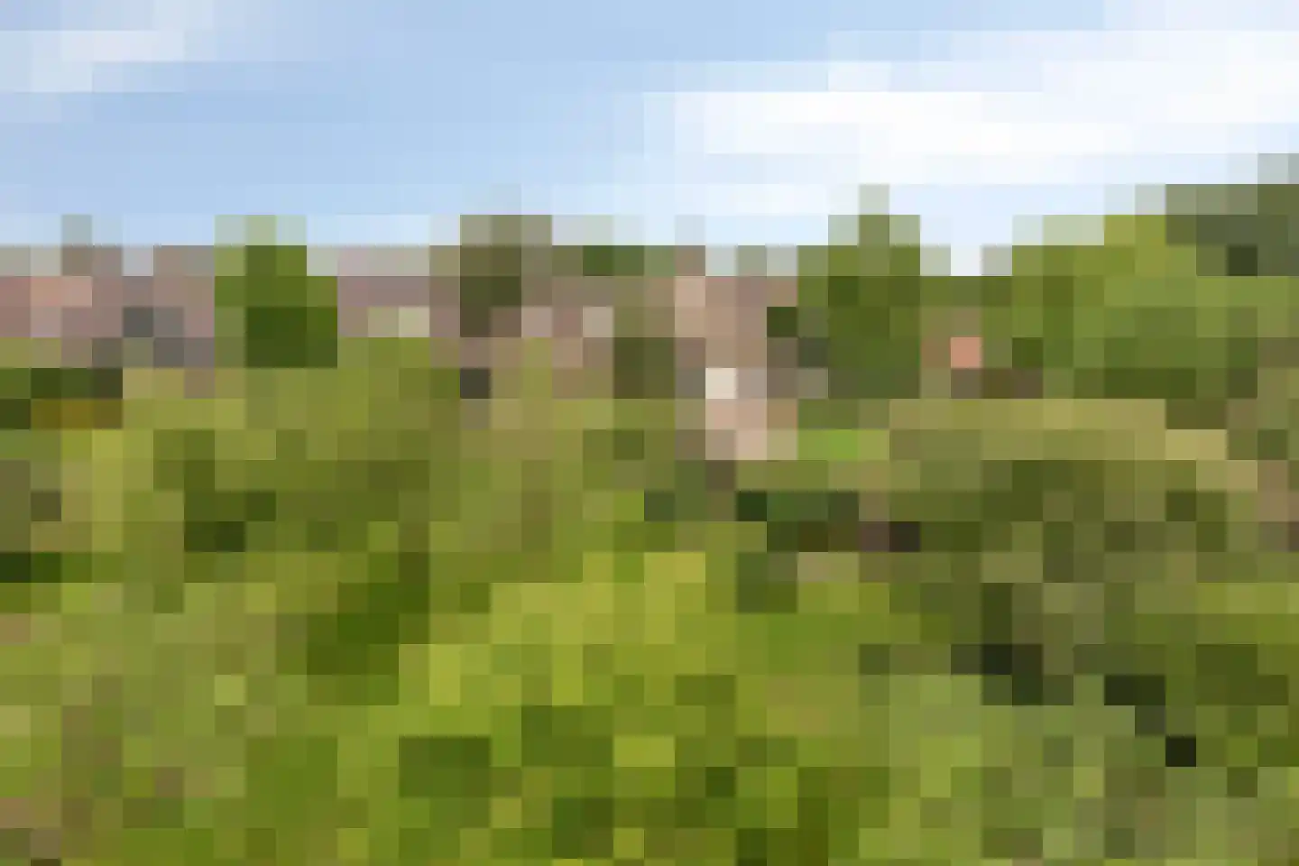 Van Dedemlaan 19 Barneveld thumbnail 59