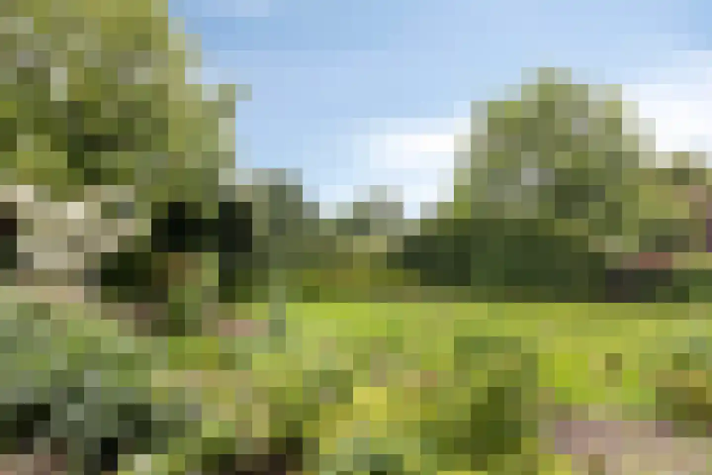 Van Dedemlaan 19 Barneveld thumbnail 60