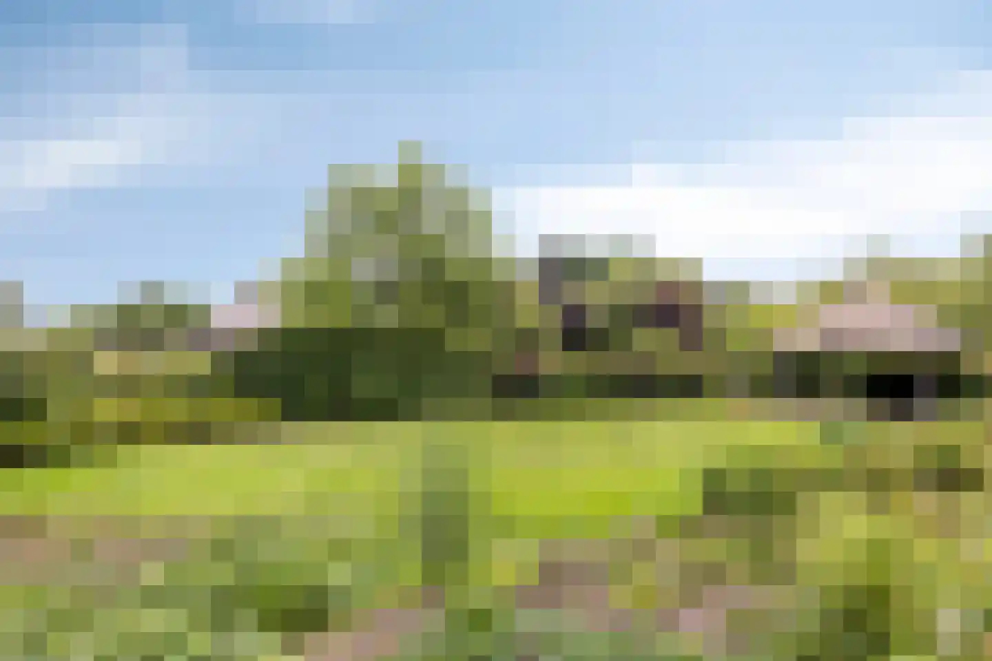 Van Dedemlaan 19 Barneveld thumbnail 61