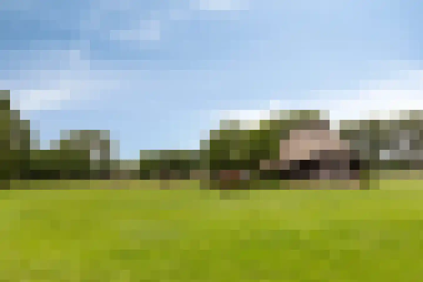 Van Dedemlaan 19 Barneveld thumbnail 65