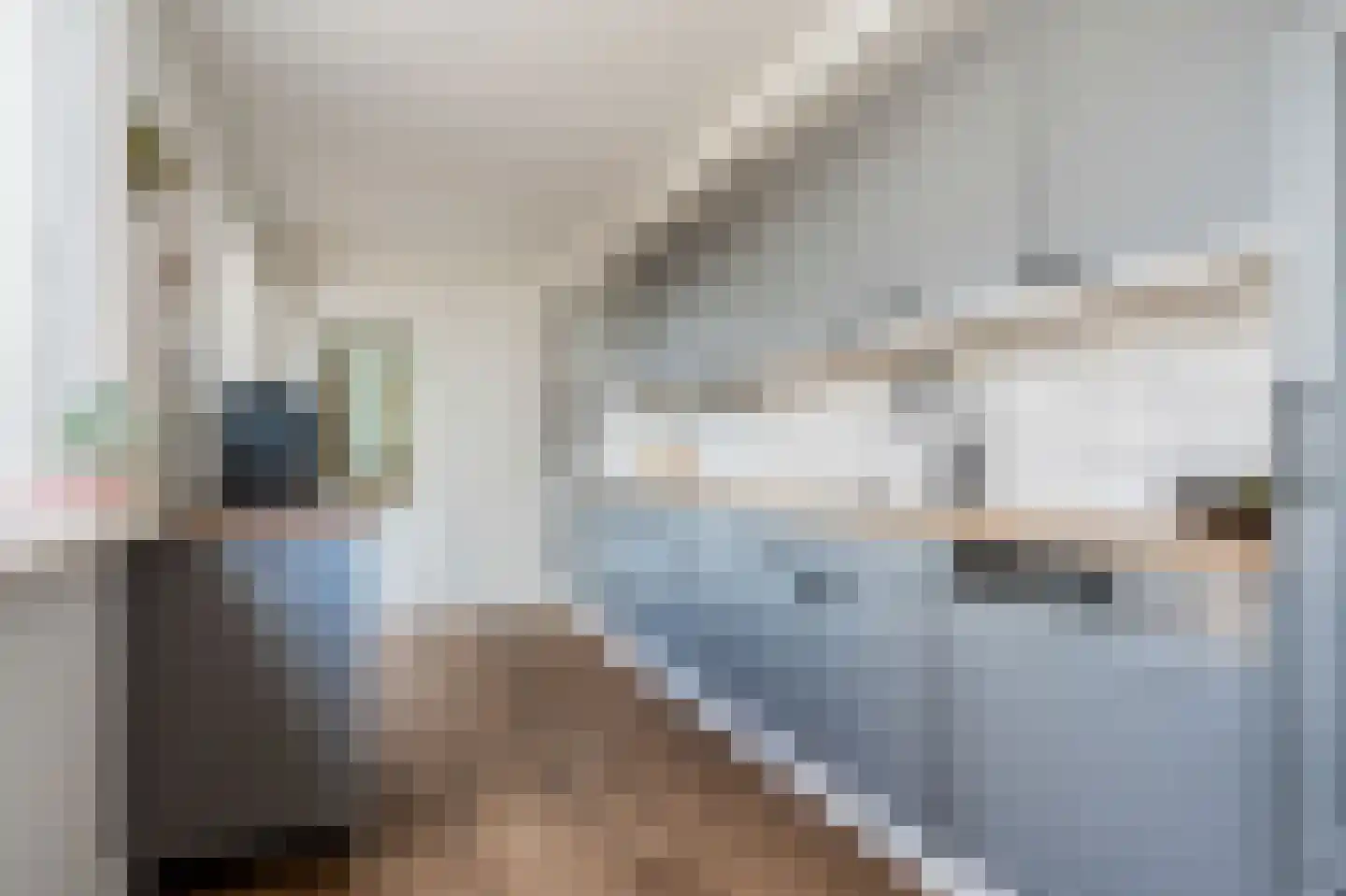 van Dedemlaan 22 Hasselt thumbnail 15