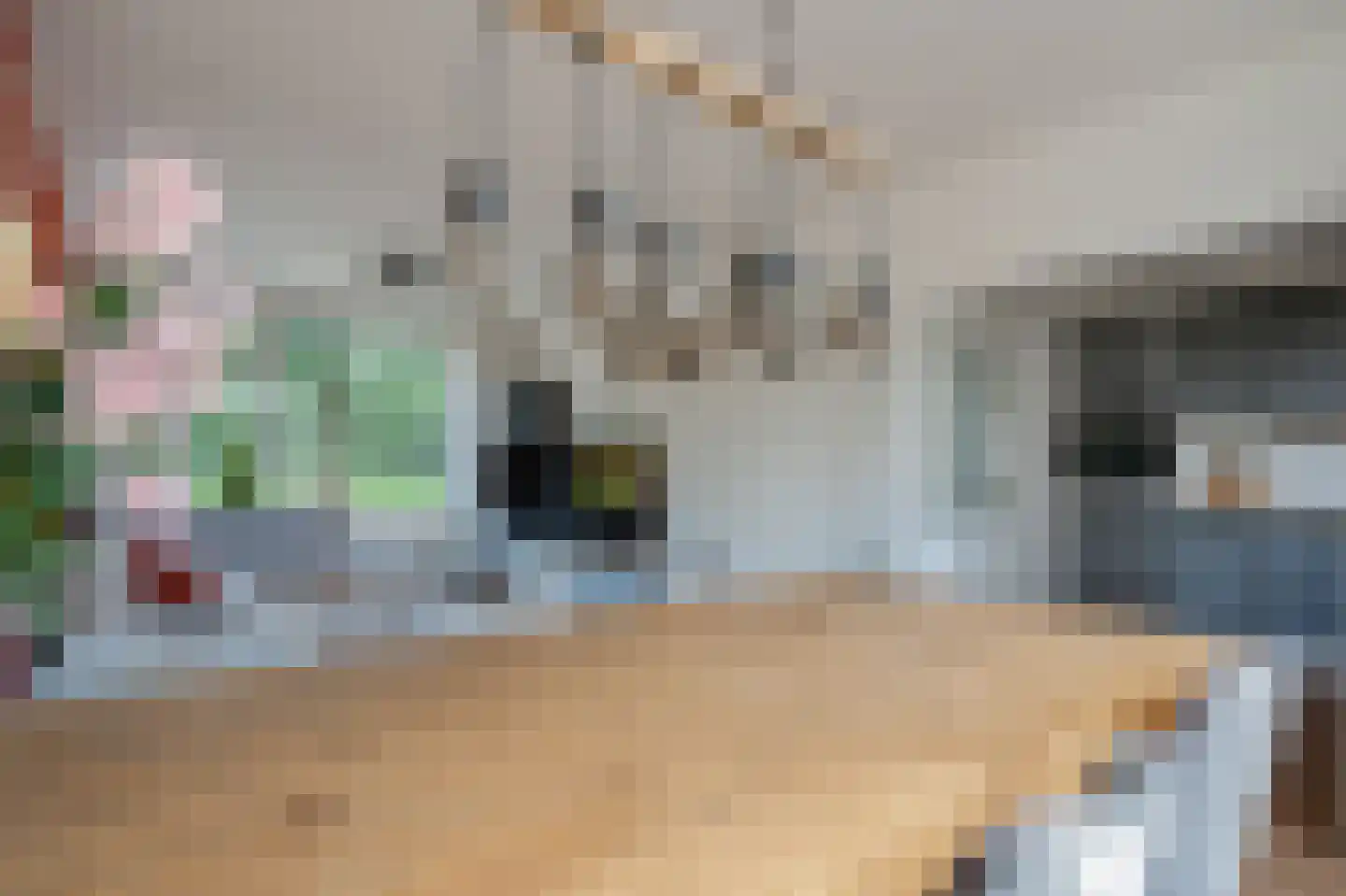 van Dedemlaan 22 Hasselt thumbnail 17