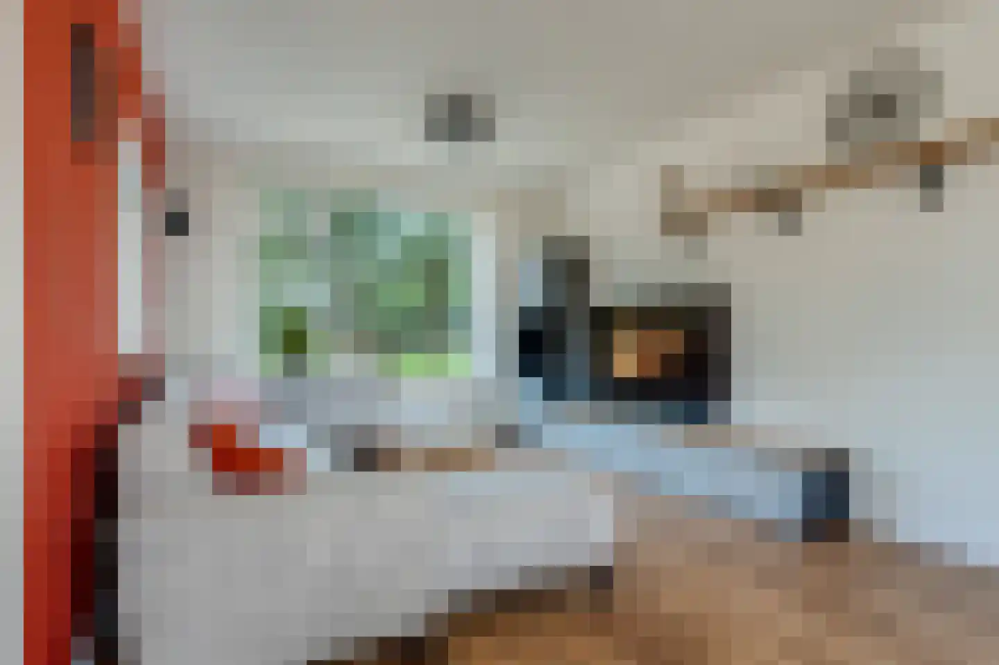 van Dedemlaan 22 Hasselt thumbnail 19