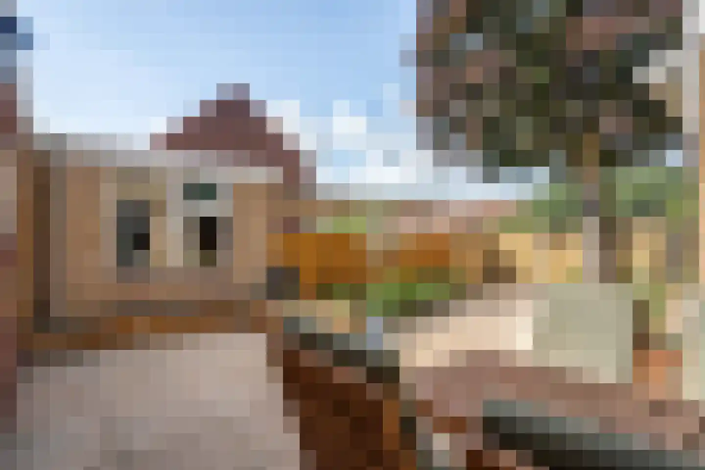 van Dedemlaan 22 Hasselt thumbnail 26