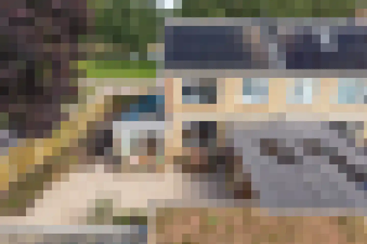 van Dedemlaan 22 Hasselt thumbnail 31