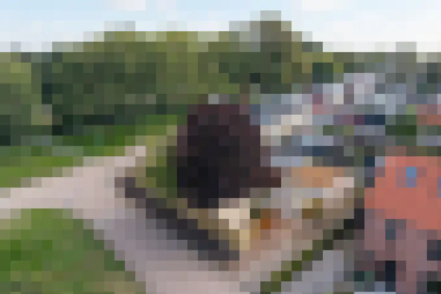van Dedemlaan 22 Hasselt thumbnail 32