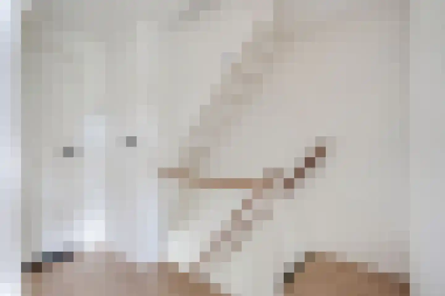 van Dedemlaan 22 Hasselt thumbnail 33