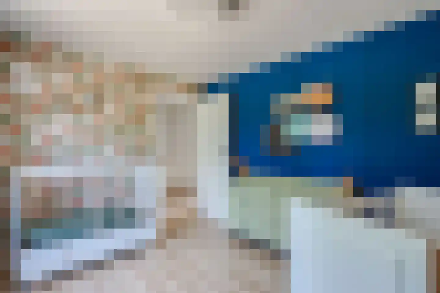 van Dedemlaan 22 Hasselt thumbnail 40