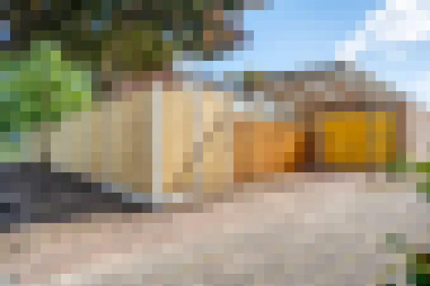 van Dedemlaan 22 Hasselt thumbnail 8