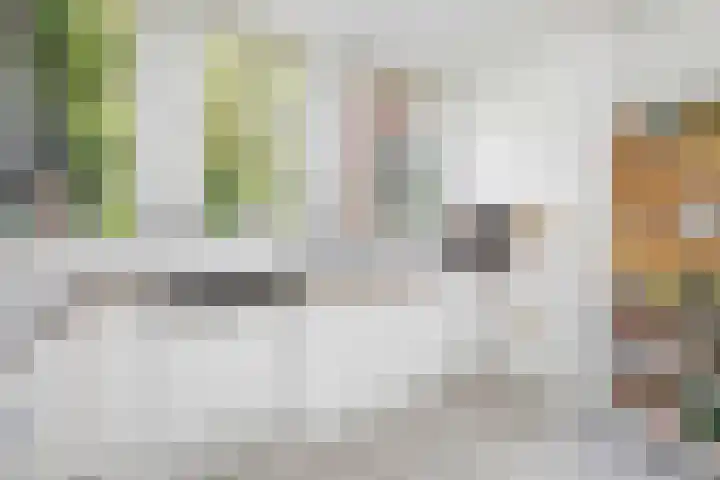 van Dedemlaan 23 Hoevelaken thumbnail 14