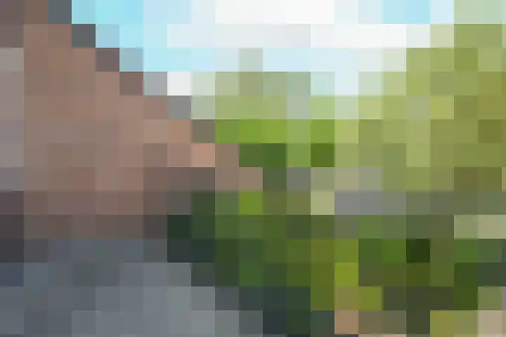 van Dedemlaan 23 Hoevelaken thumbnail 24