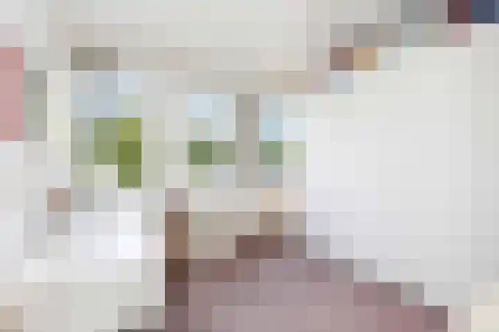 van Dedemlaan 23 Hoevelaken thumbnail 29