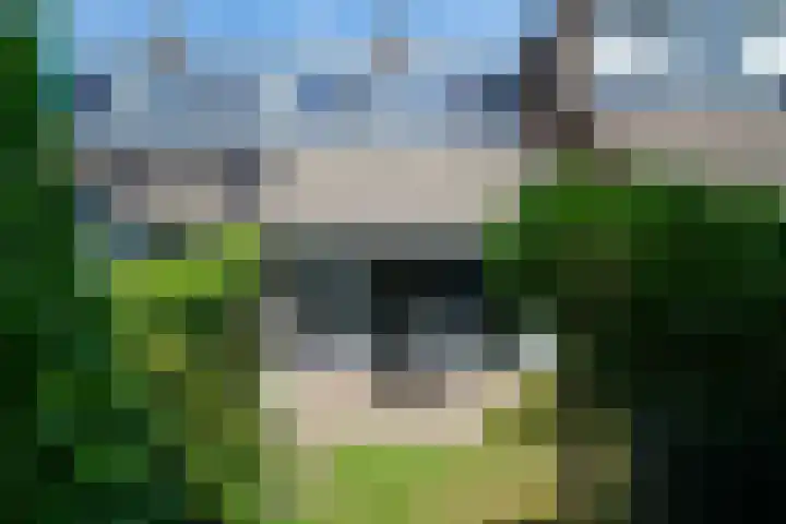 van Dedemlaan 23 Hoevelaken thumbnail 32