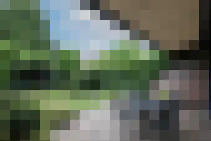 van Dedemlaan 23 Hoevelaken thumbnail 33
