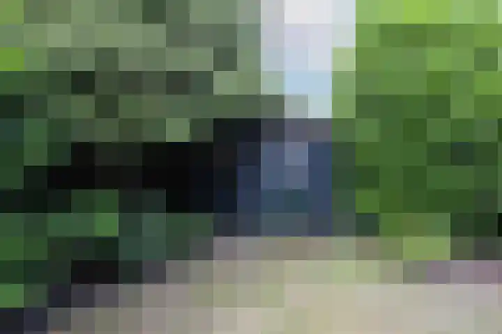 van Dedemlaan 23 Hoevelaken thumbnail 36