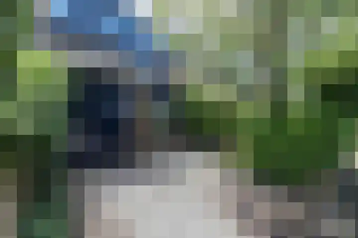 van Dedemlaan 23 Hoevelaken thumbnail 41