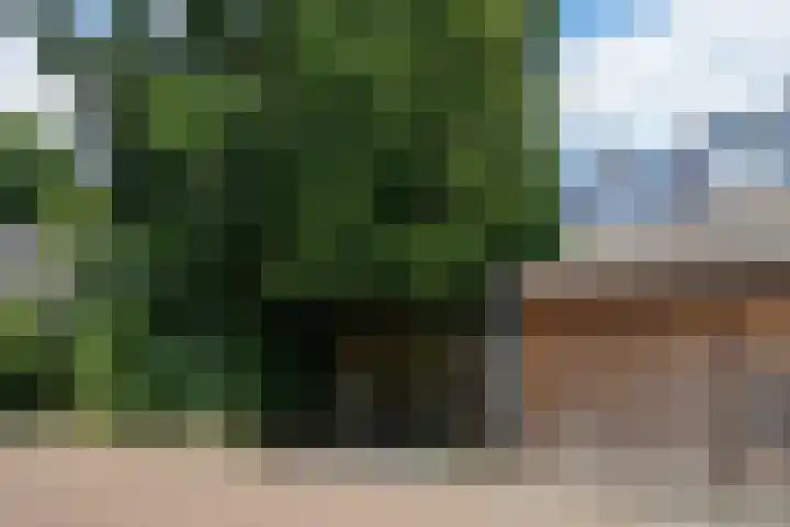 van Dedemlaan 23 Hoevelaken thumbnail 43