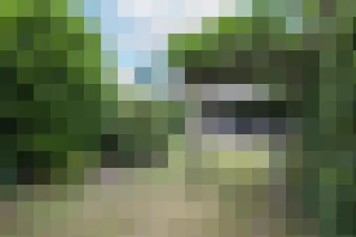 van Dedemlaan 23 Hoevelaken thumbnail 5