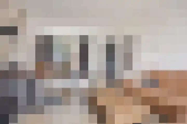 van Dedemlaan 9 Hasselt thumbnail 11