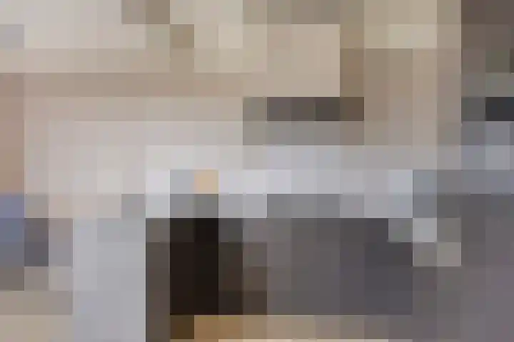 van Dedemlaan 9 Hasselt thumbnail 13