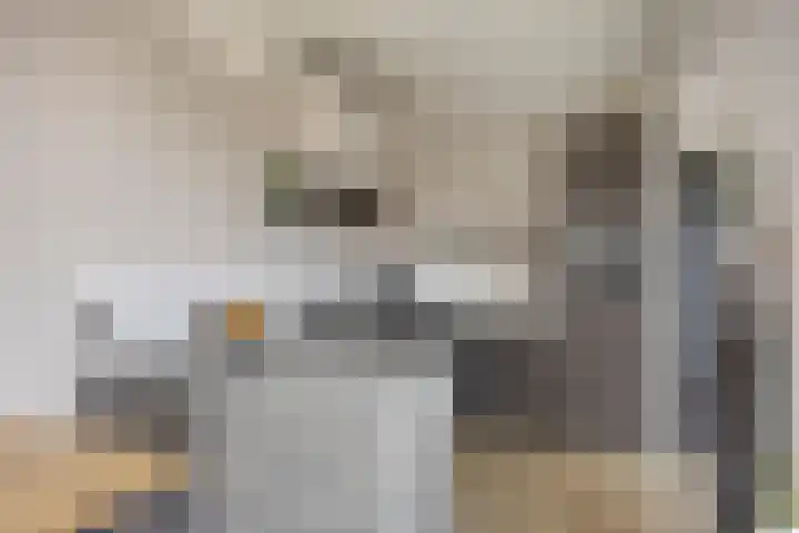 van Dedemlaan 9 Hasselt thumbnail 15
