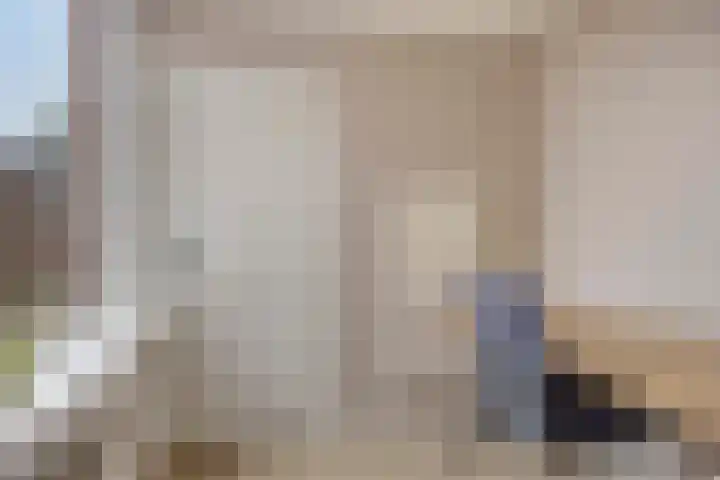 van Dedemlaan 9 Hasselt thumbnail 16