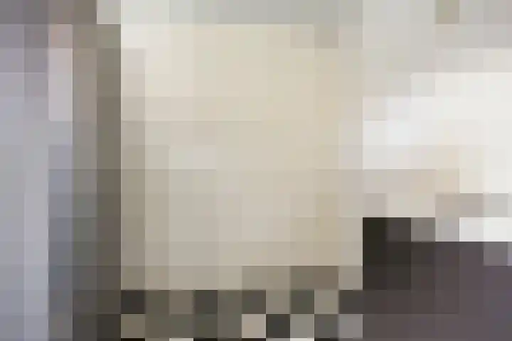 van Dedemlaan 9 Hasselt thumbnail 18