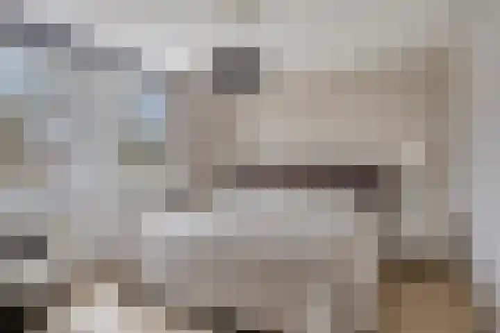 van Dedemlaan 9 Hasselt thumbnail 21
