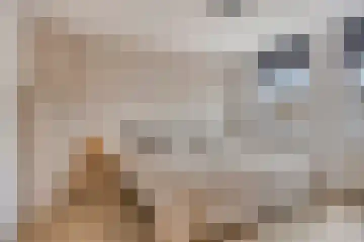 van Dedemlaan 9 Hasselt thumbnail 23