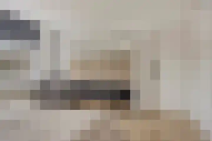 van Dedemlaan 9 Hasselt thumbnail 24