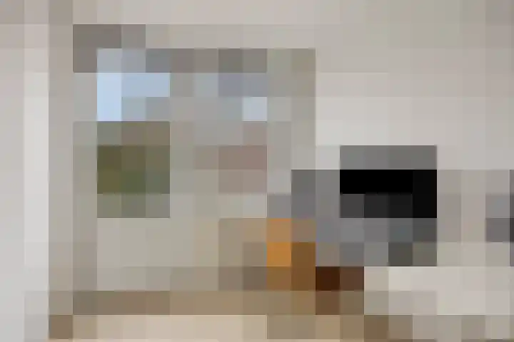 van Dedemlaan 9 Hasselt thumbnail 25