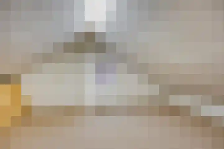 van Dedemlaan 9 Hasselt thumbnail 26