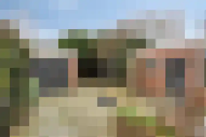 van Dedemlaan 9 Hasselt thumbnail 27