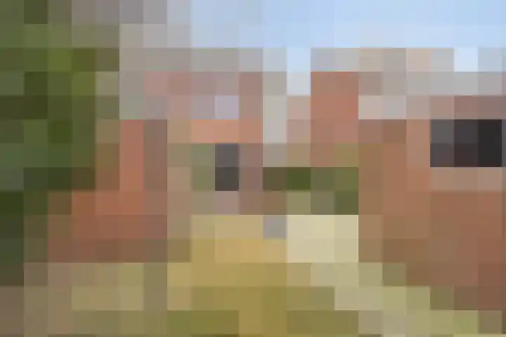 van Dedemlaan 9 Hasselt thumbnail 28