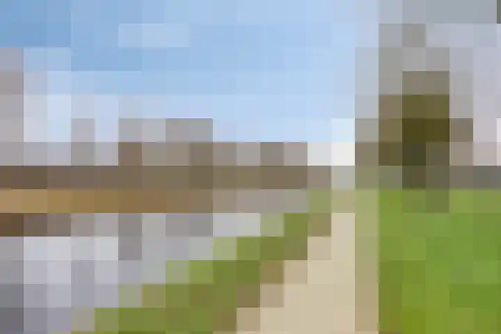 van Dedemlaan 9 Hasselt thumbnail 31