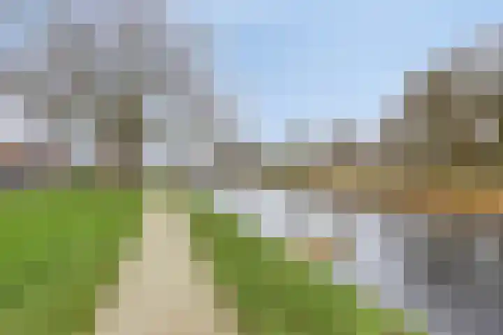 van Dedemlaan 9 Hasselt thumbnail 32