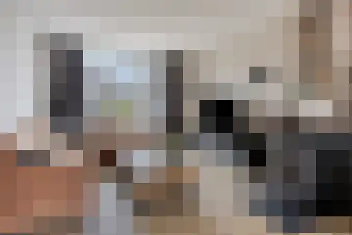 van Dedemlaan 9 Hasselt thumbnail 4