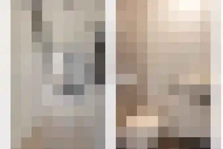 van Dedemlaan 9 Hasselt thumbnail 8