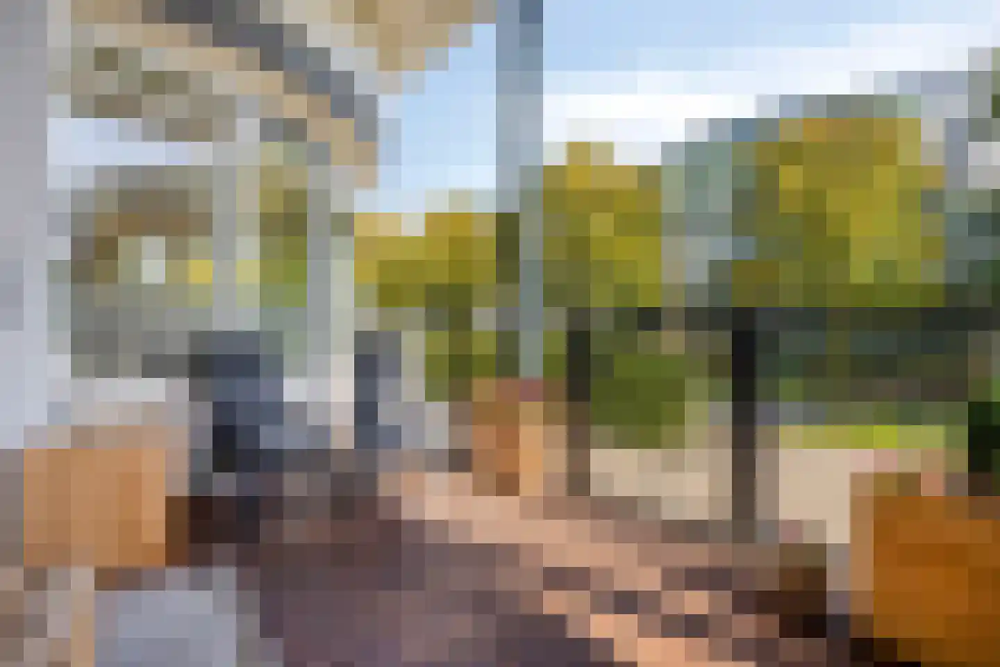 Van Dedemstraat 11 b Bergen op Zoom thumbnail 30