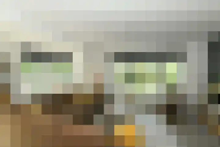 van Dedemweg 11 Oosterbeek thumbnail 11