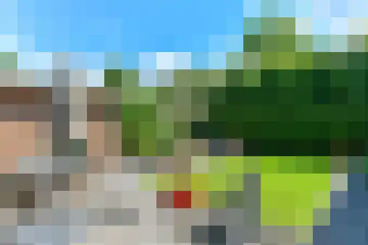 van Dedemweg 11 Oosterbeek thumbnail 41