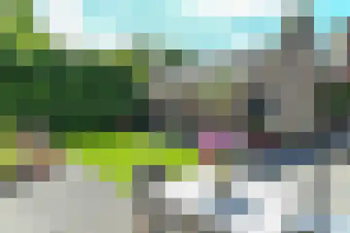 van Dedemweg 11 Oosterbeek thumbnail 42