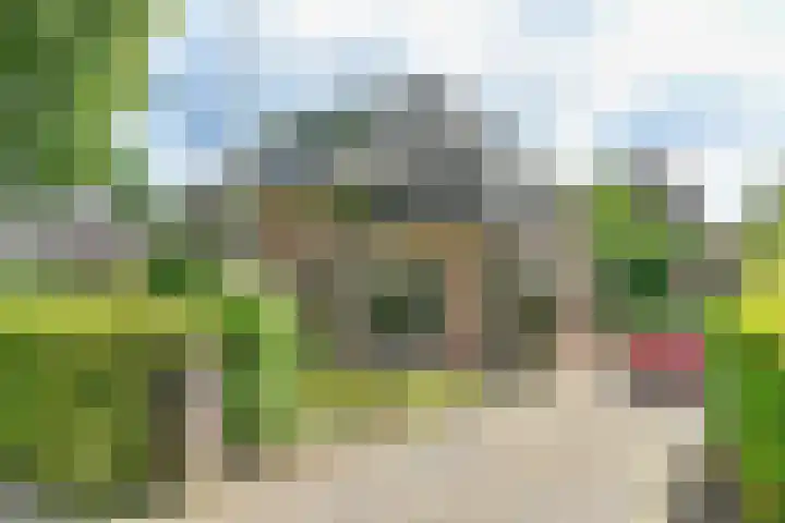 van Dedemweg 11 Oosterbeek thumbnail 46