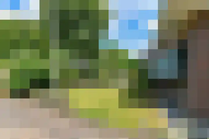 van Dedemweg 11 Oosterbeek thumbnail 7
