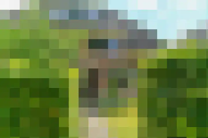 van Dedemweg 11 Oosterbeek thumbnail 8
