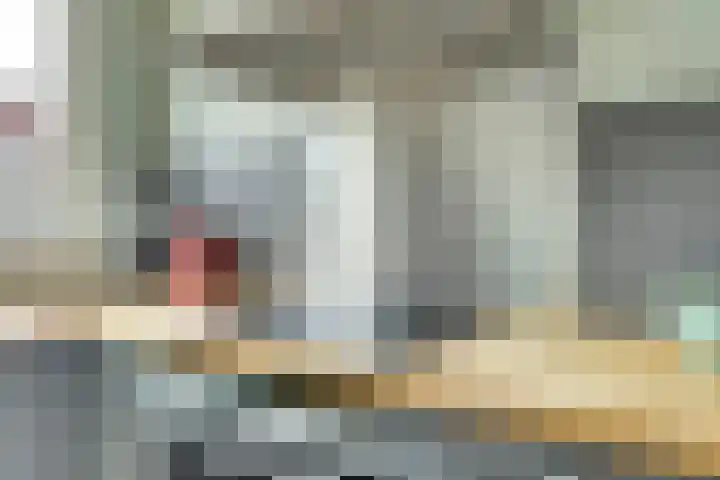 Van Deelenstraat 106 Oudheusden thumbnail 15