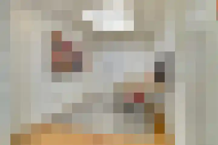 Van Deelenstraat 106 Oudheusden thumbnail 16