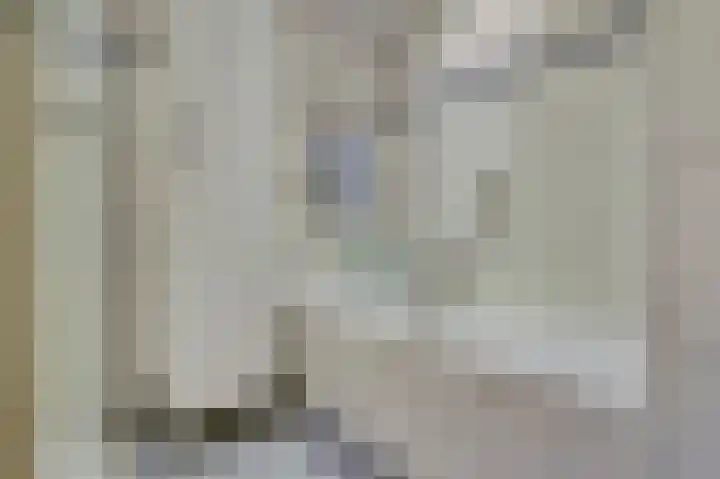 Van Deelenstraat 106 Oudheusden thumbnail 25