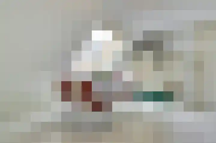 Van Deelenstraat 106 Oudheusden thumbnail 33